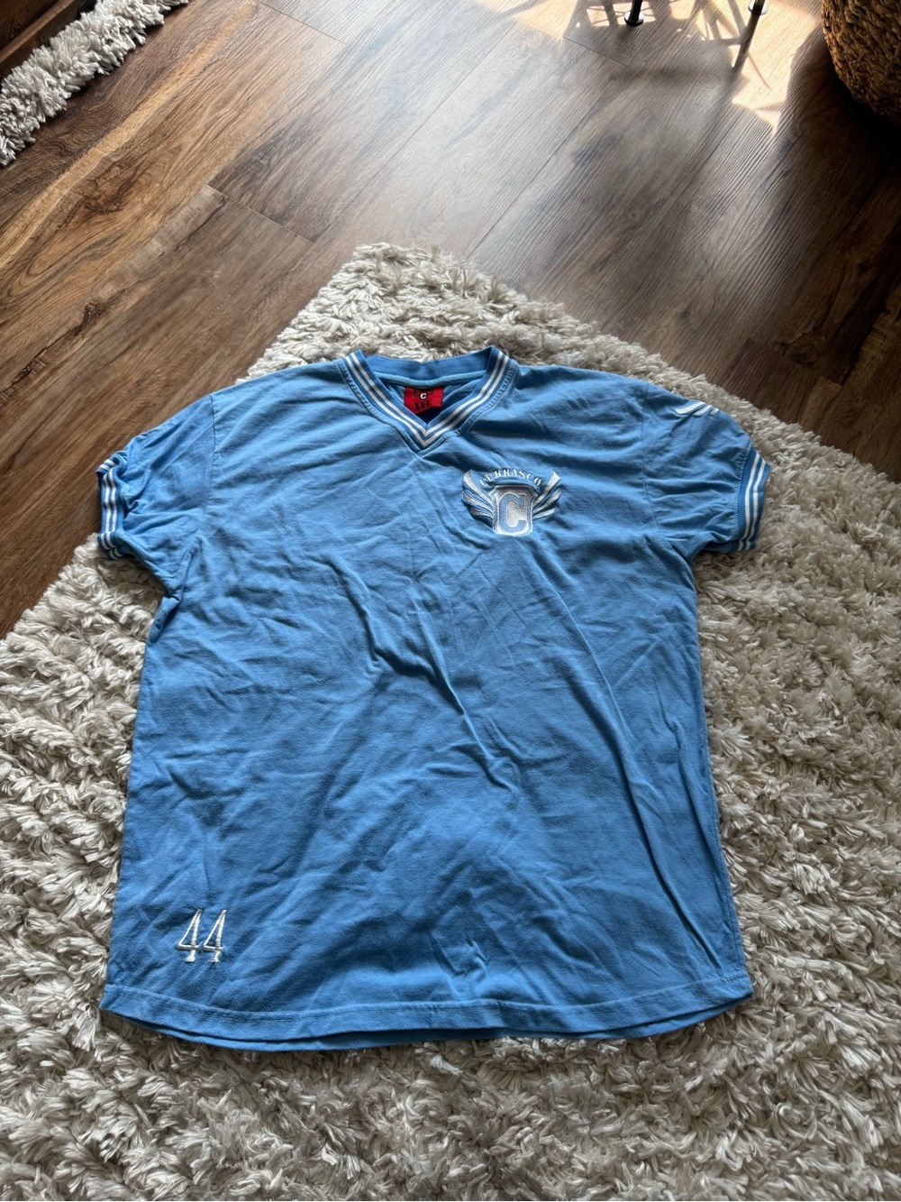 Men's Light Blue V-Neck Jersey with Subtle Crest